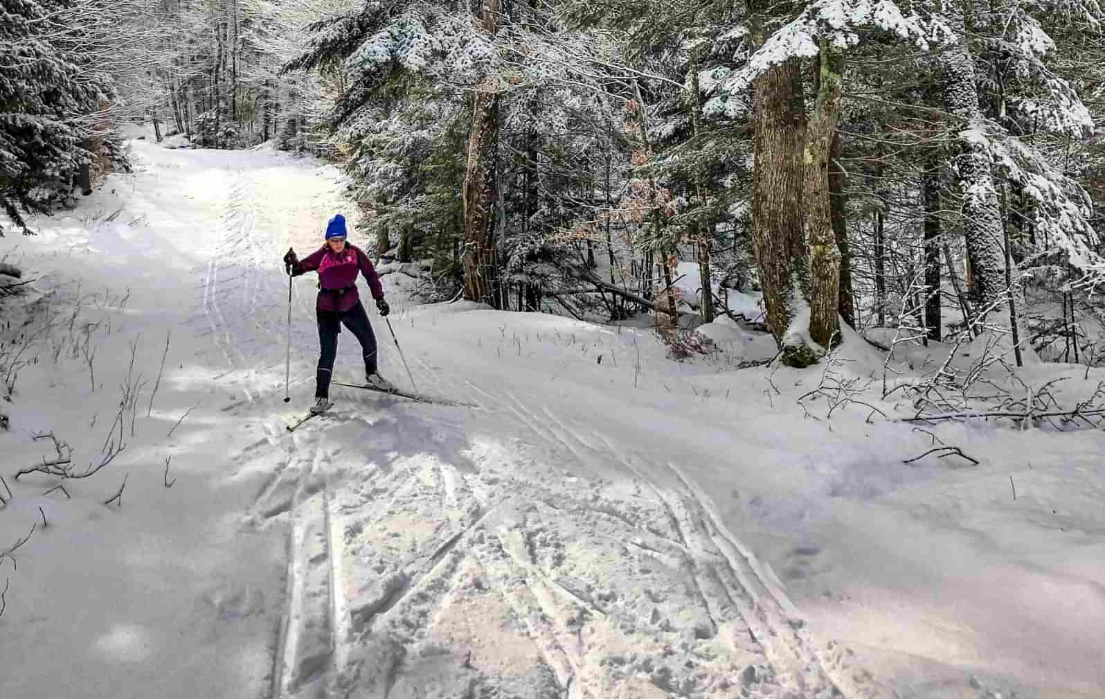 Woman cross country skiing on snowy path between trees