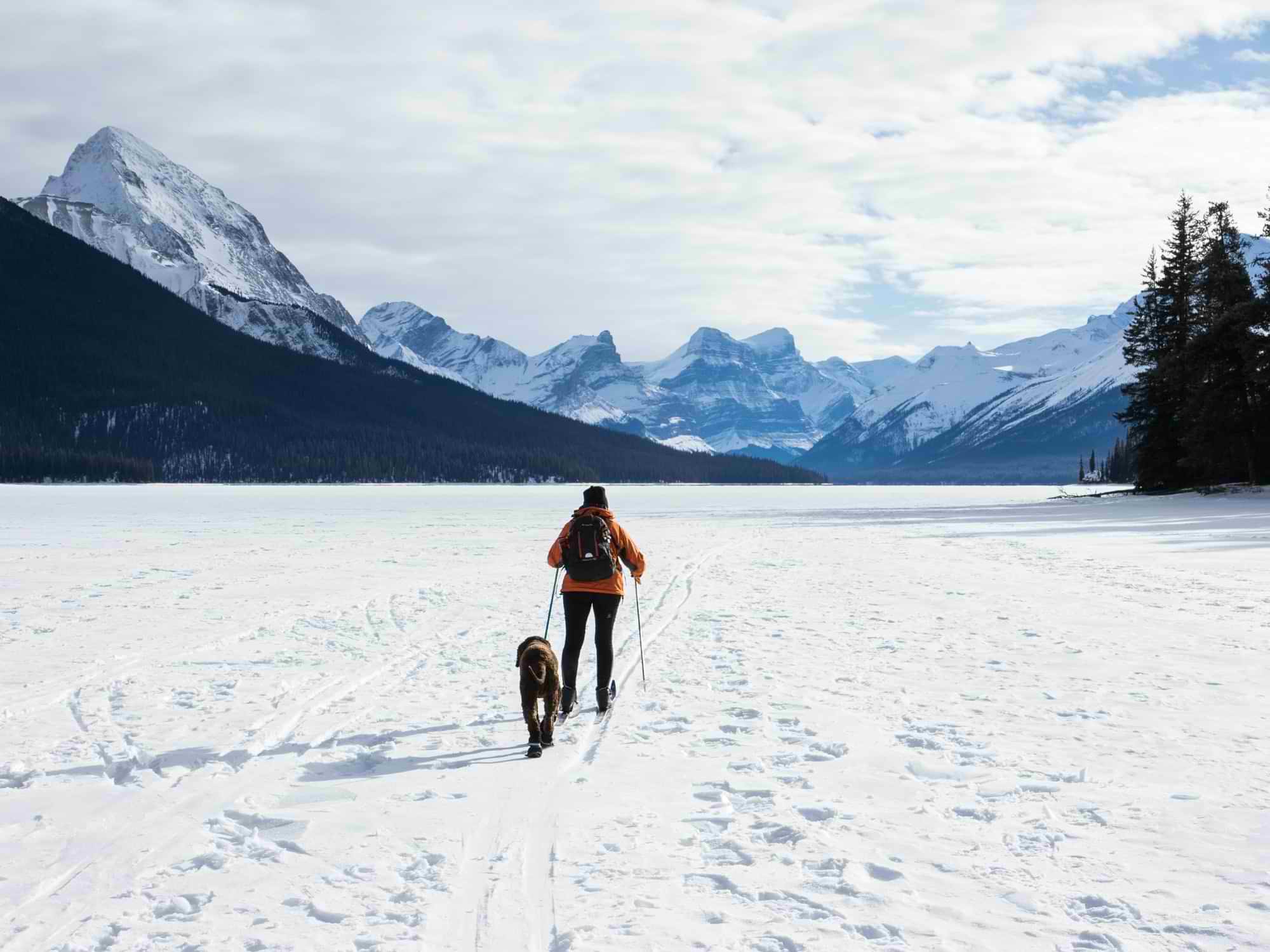 Woman cross-country skiing in the mountains with her dog